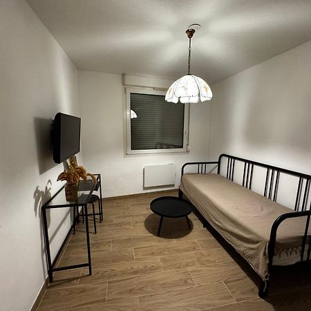 Le Sarsour Appartement Strasbourg Centre Luaran gambar