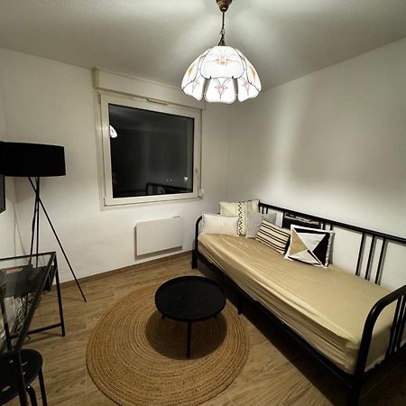 Le Sarsour Appartement Strasbourg Centre Luaran gambar