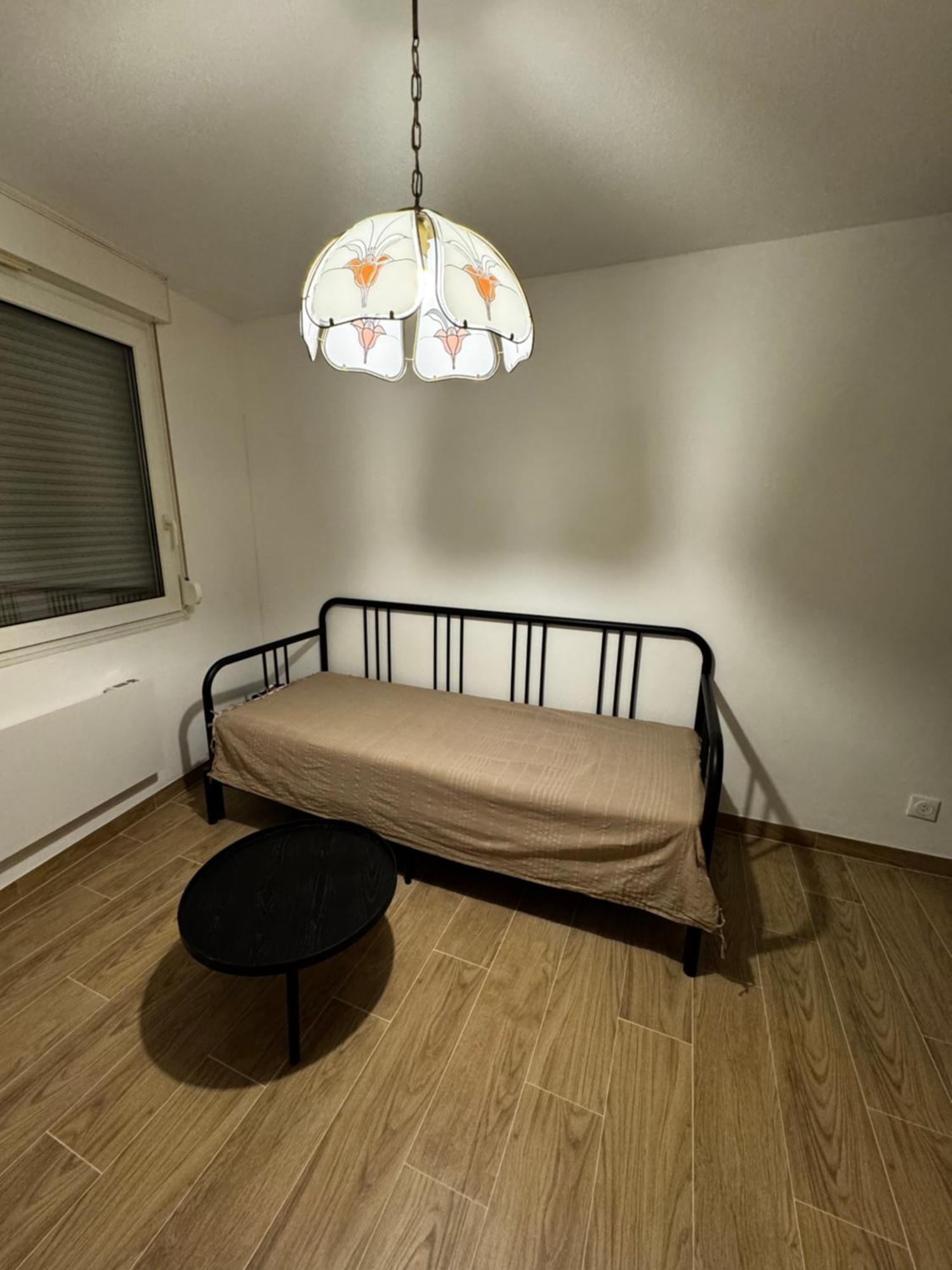 Le Sarsour Appartement Strasbourg Centre Luaran gambar