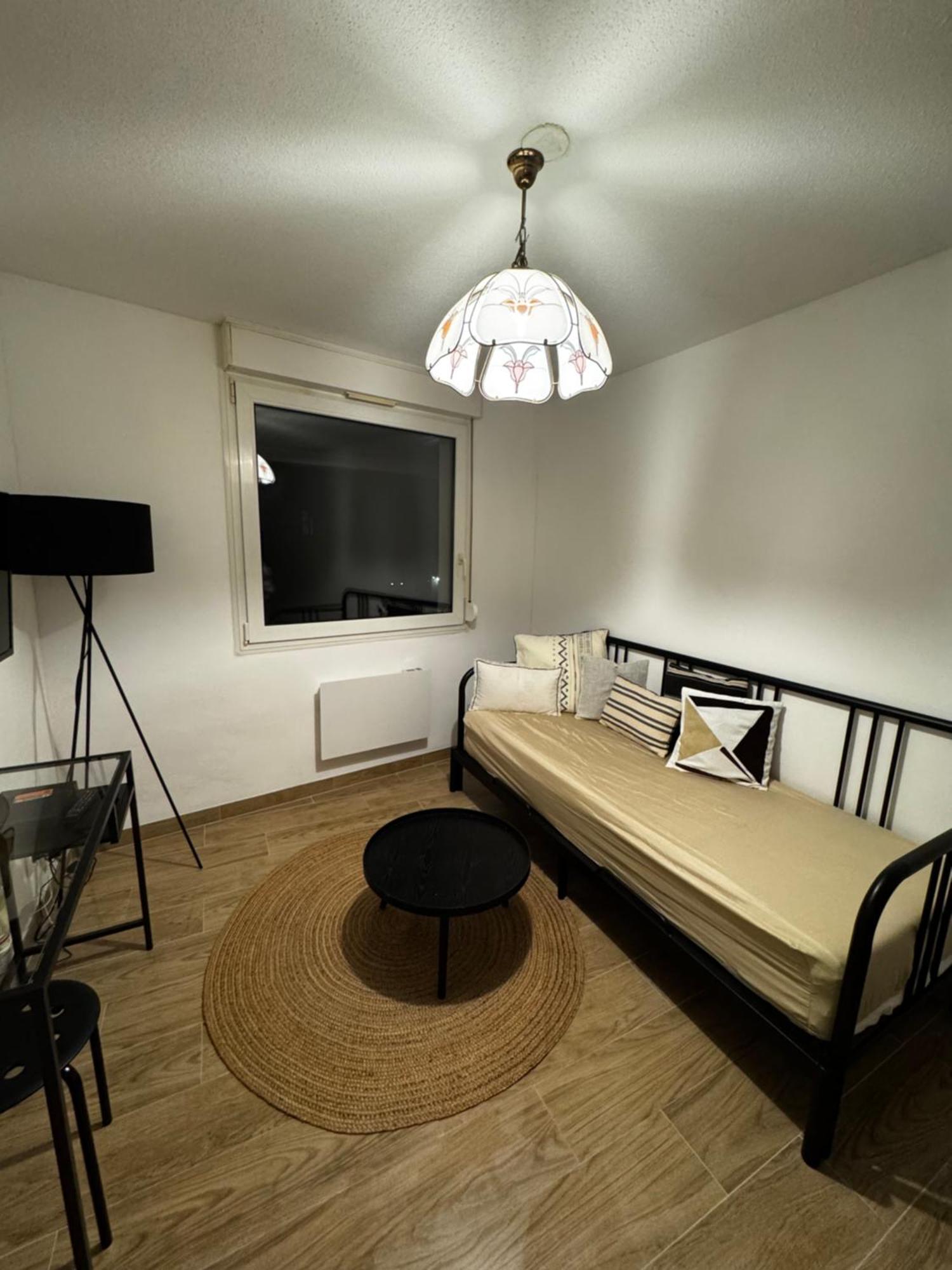 Le Sarsour Appartement Strasbourg Centre Luaran gambar
